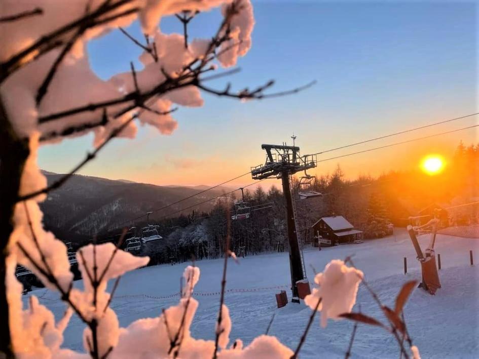 Ubytovani U Janicky Klíny Buitenkant foto